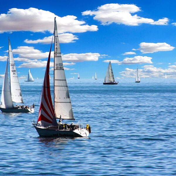 Printec solution - sailing boat